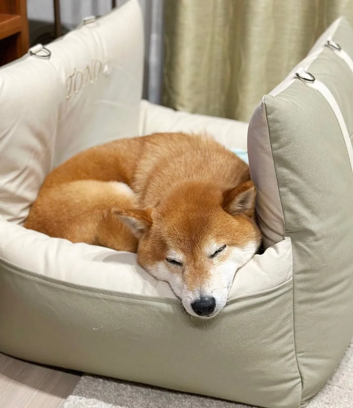 とのくんのドライブベッド♡